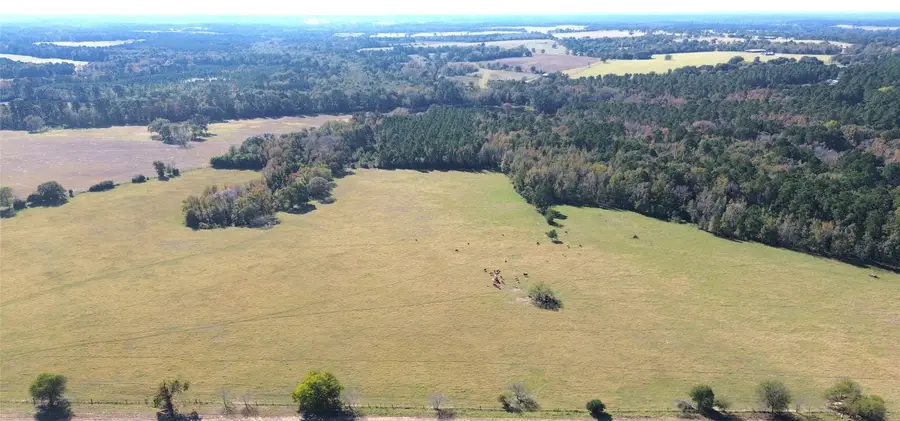485 Private Road 6142, Grapeland, TX 75844 - #2