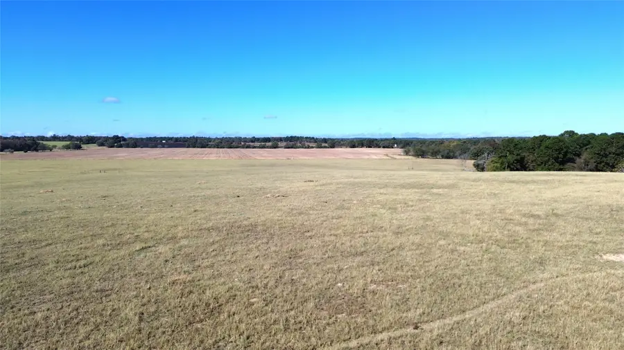485 Private Road 6142, Grapeland, TX 75844 - #3