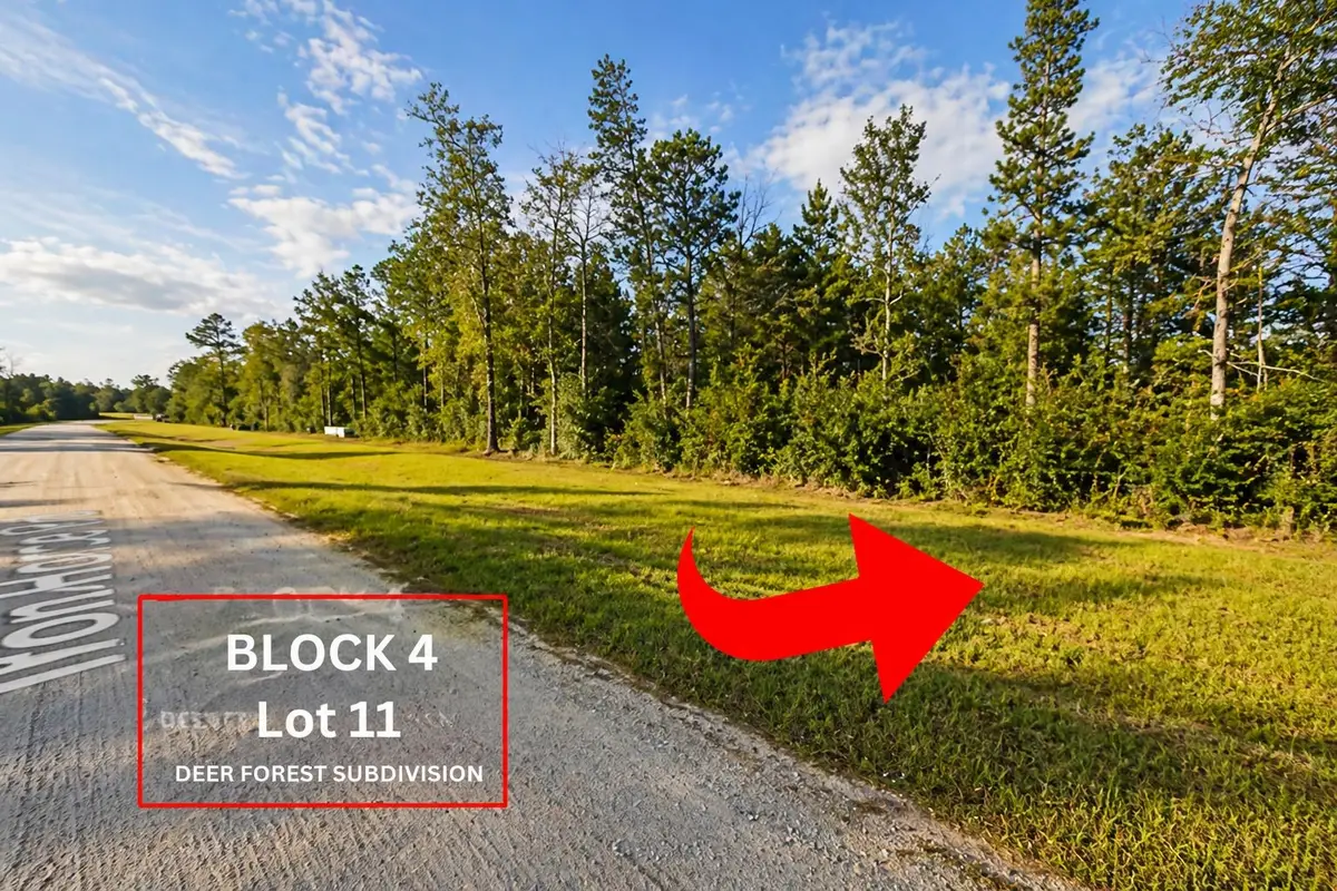 305 Iron Horse Road, Willis, TX 77378 - #1