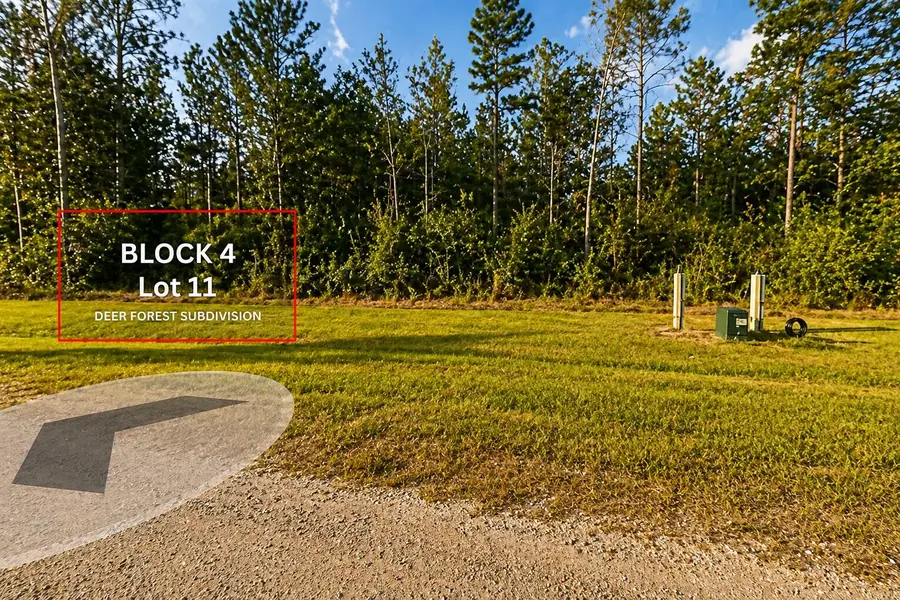 305 Iron Horse Road, Willis, TX 77378 - #3