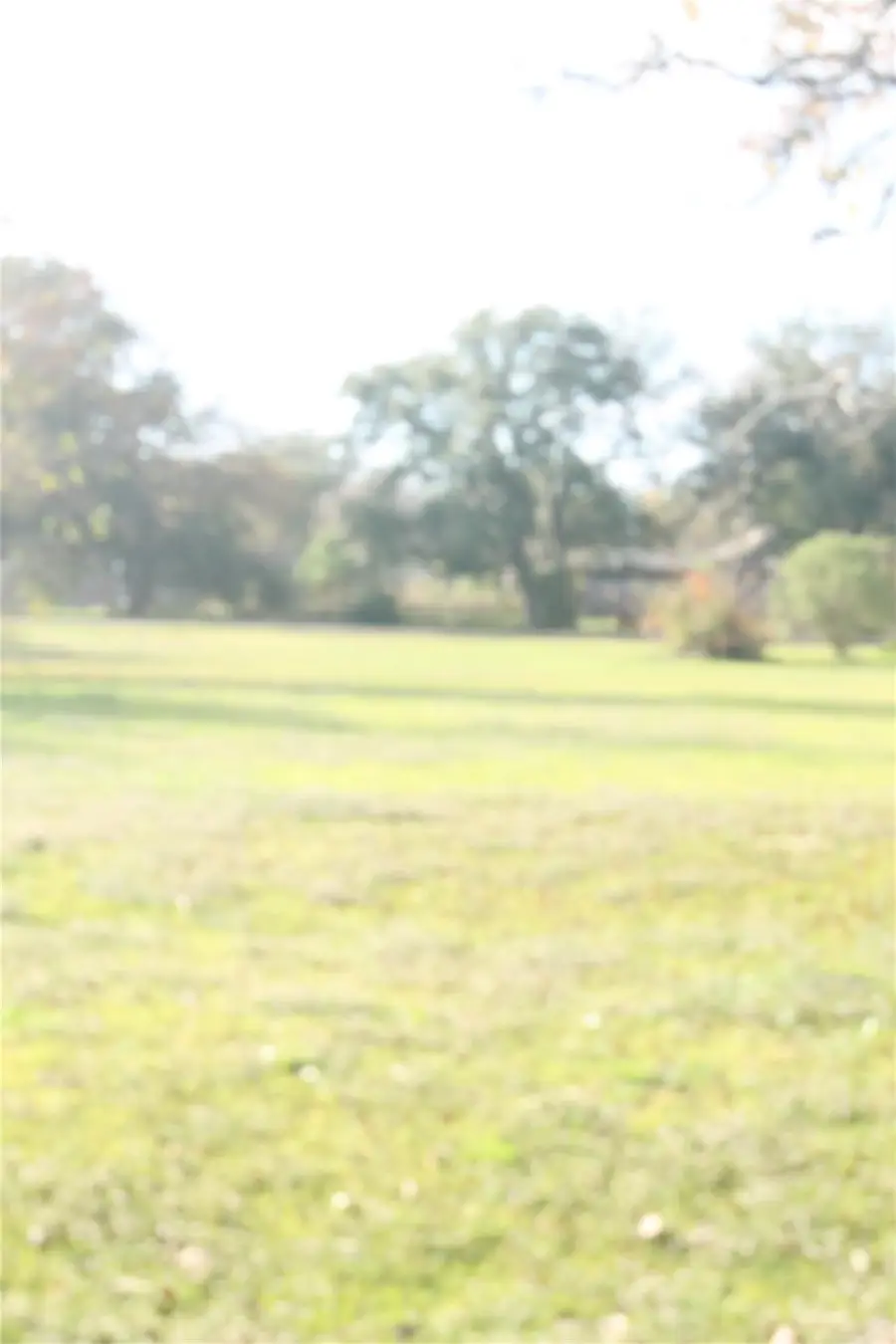 0 Lexington Avenue, Hitchcock, TX 77563 - #3