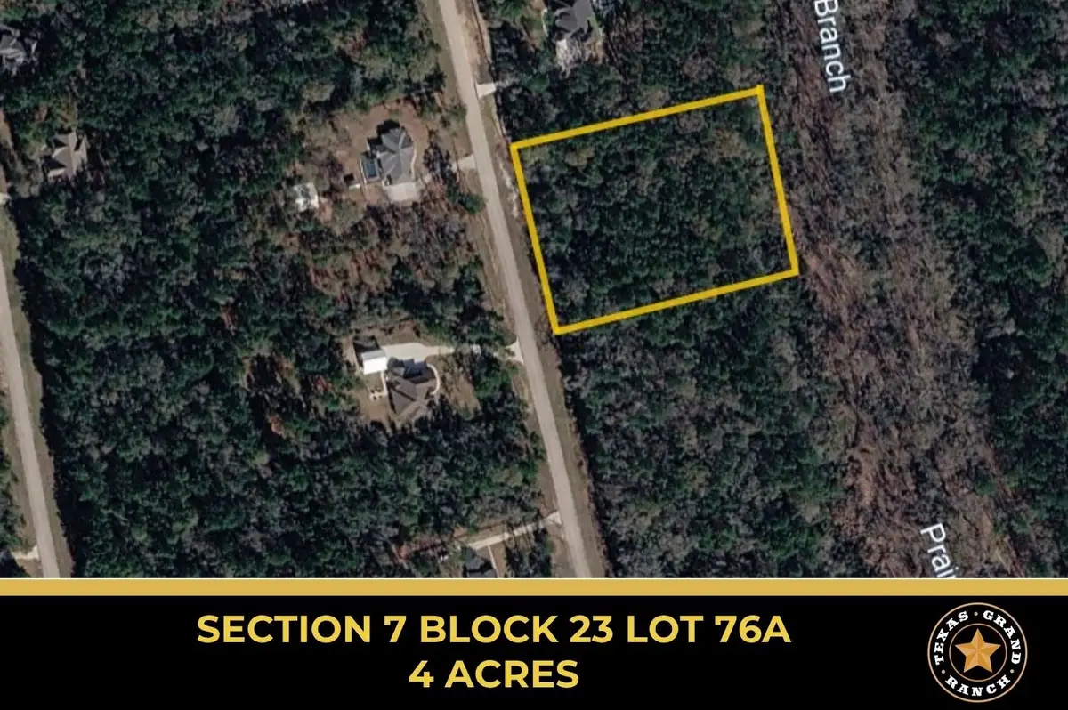 239 Sky Oak Drive, Huntsville, TX 77340 - #1