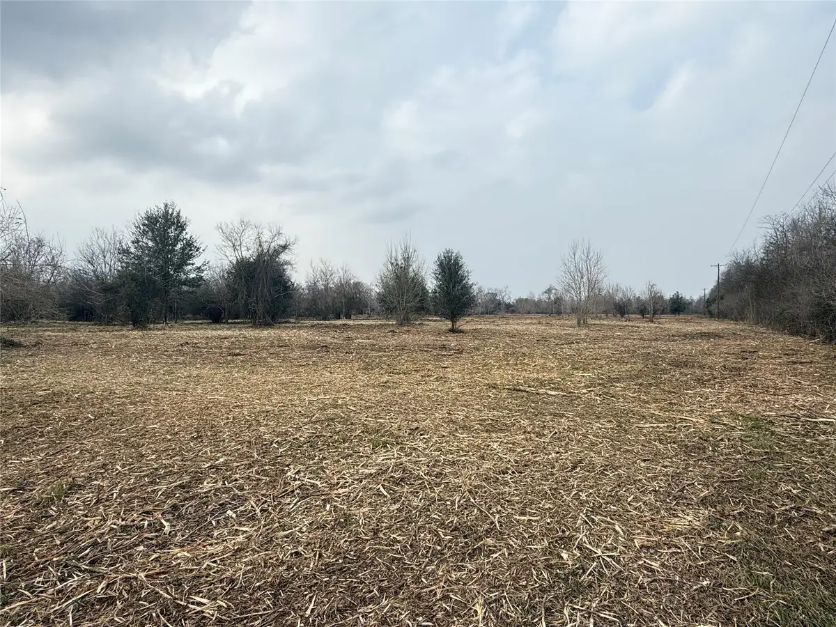Lot 9 County Road 30, Angleton, TX 77515 - #1