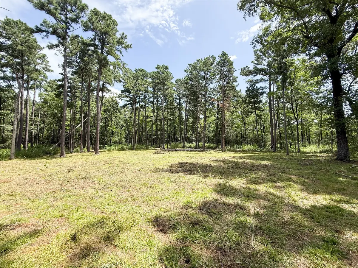Lot 63 Pr 1280, Centerville, TX 75833 - Image #1