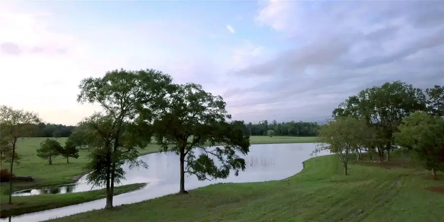 15522 Wood Grove Way, Willis, TX 77378 - #3