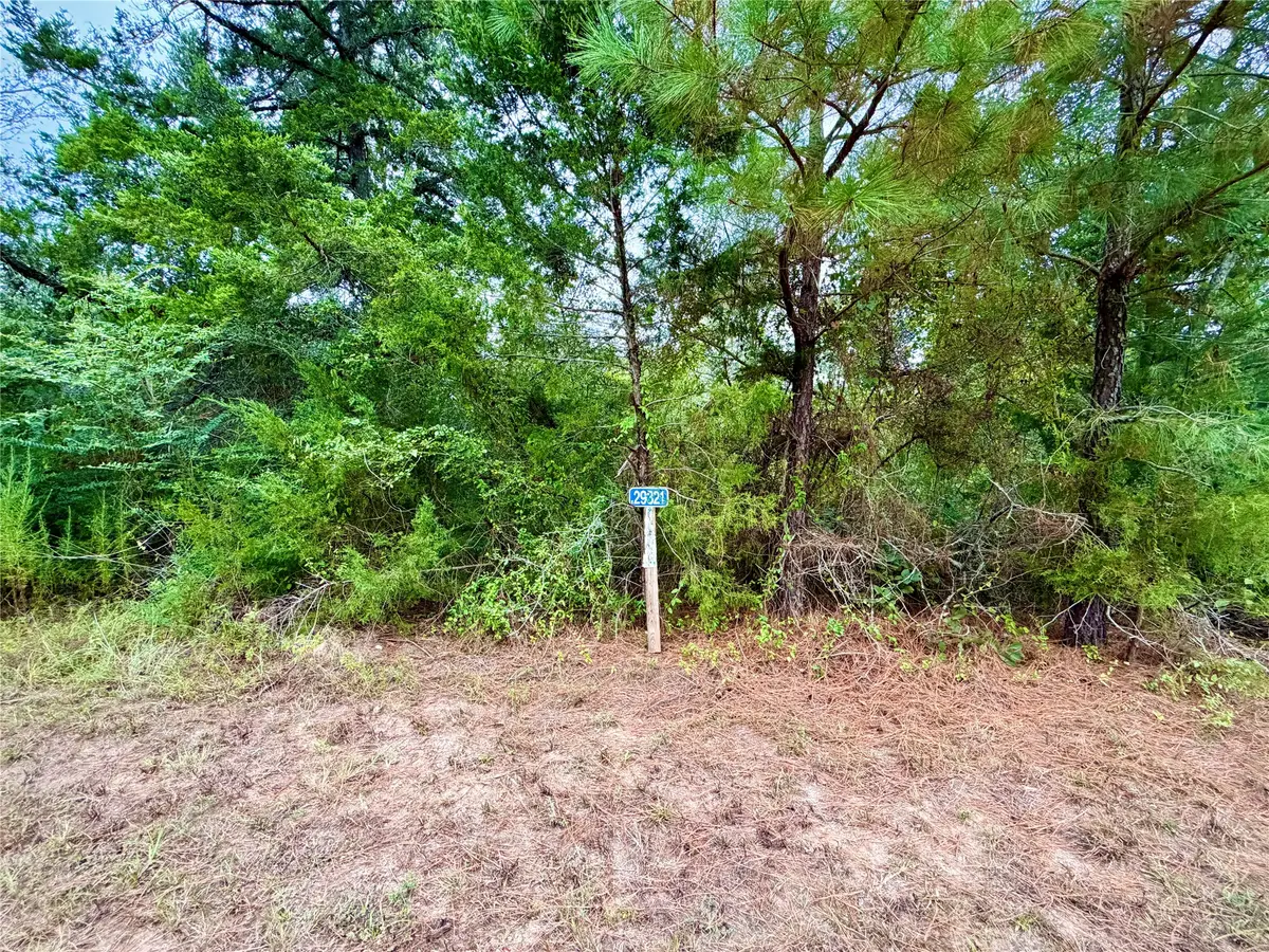 0 Cotton Tail Drive, Waller, TX 77484 - #1