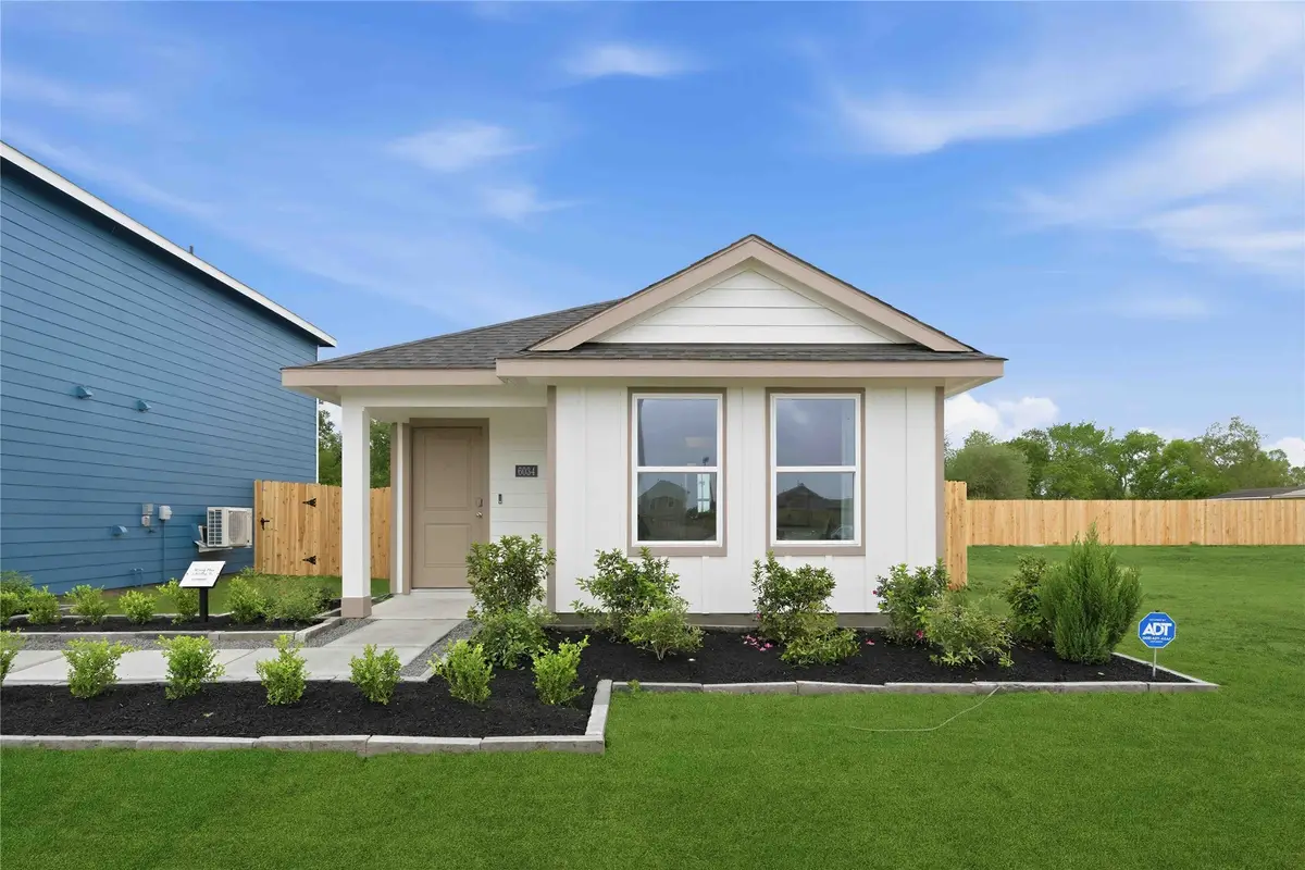 11703 Passion Fruit Street, Houston, TX 77048 - #1