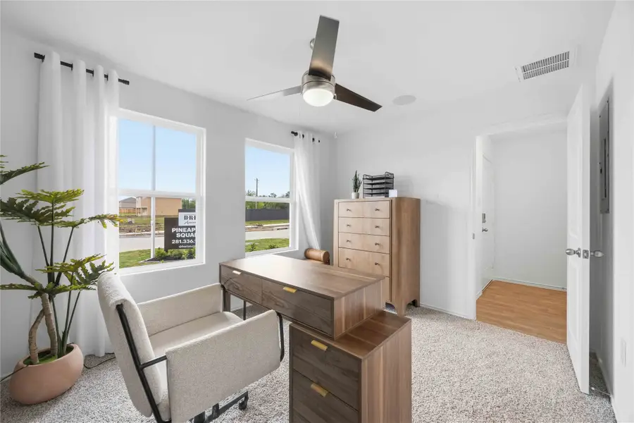 11703 Passion Fruit Street, Houston, TX 77048 - #2