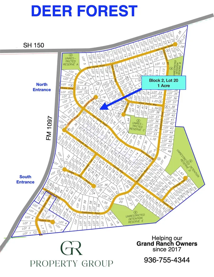 194 Iron Horse Road, New Waverly, TX 77358 - Image #3