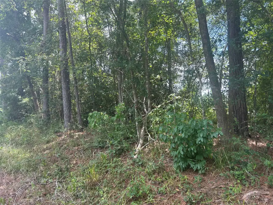 0 Cottonwood, Montgomery, TX 77356 - #2