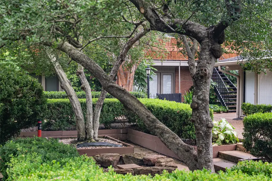 3926 W Alabama Street #1, Houston, TX 77027 - Image #2