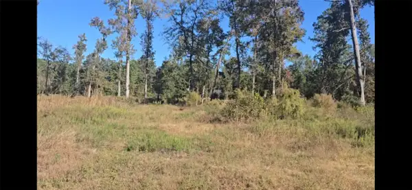 Tract C-4 Gaff Road, Magnolia, TX 77355