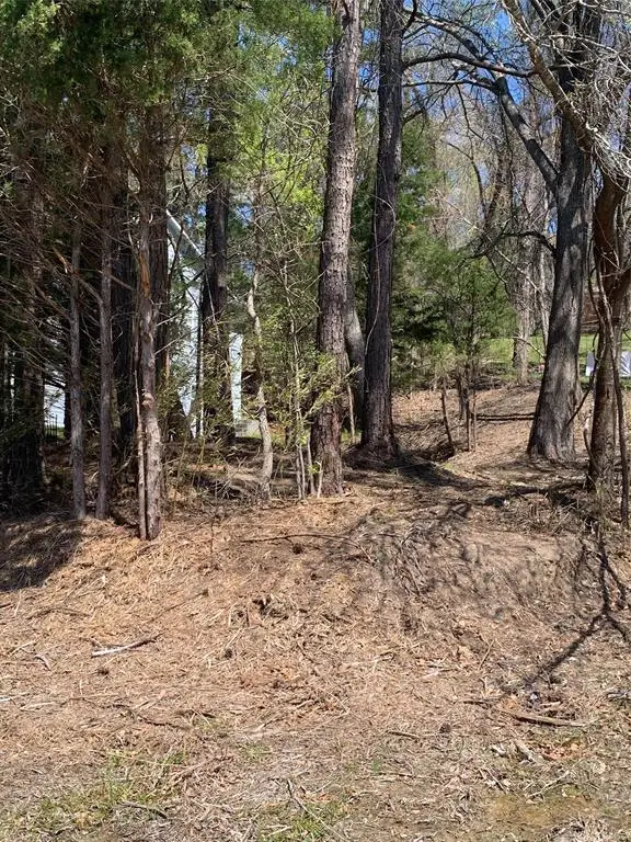 TBD Cedar Lane, Livingston, TX 77351 - #2