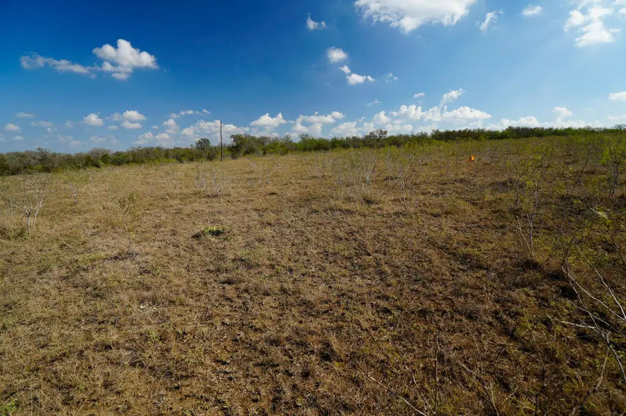 LOT 12 000 Cr 447, Waelder, TX 78959 - Image #2