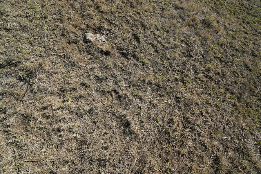 LOT 12 000 Cr 447, Waelder, TX 78959 - Image #3