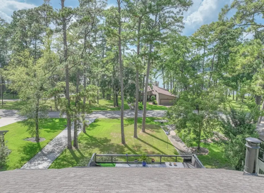 15696 Lakeway Drive, Willis, TX 77318 - #2