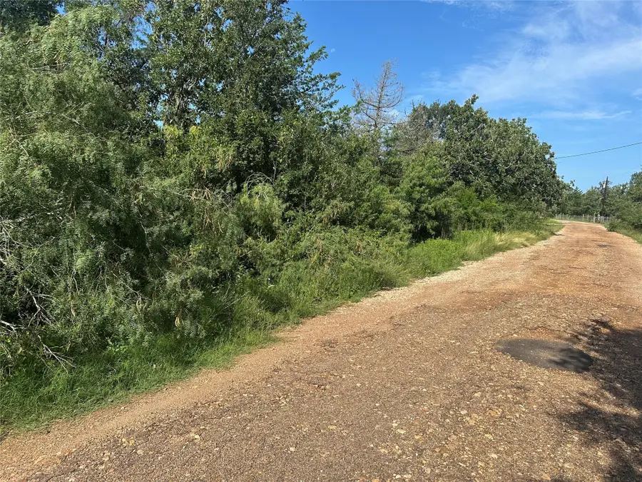 600 Blueberry Hill Road, Somerville, TX 77879 - Image #3