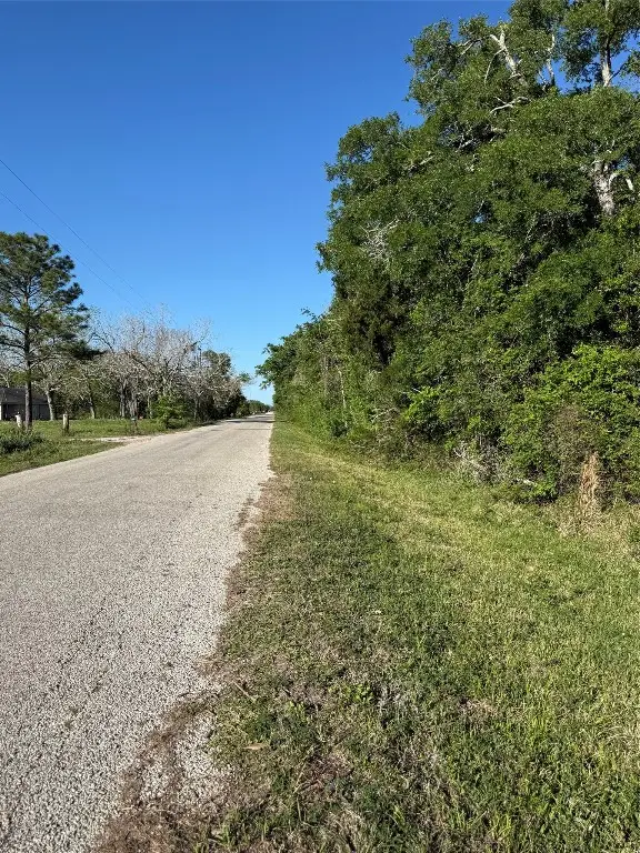 15563 Tax ID Ramblewood County Road 281 Road, Sargent, TX 77414 - #2