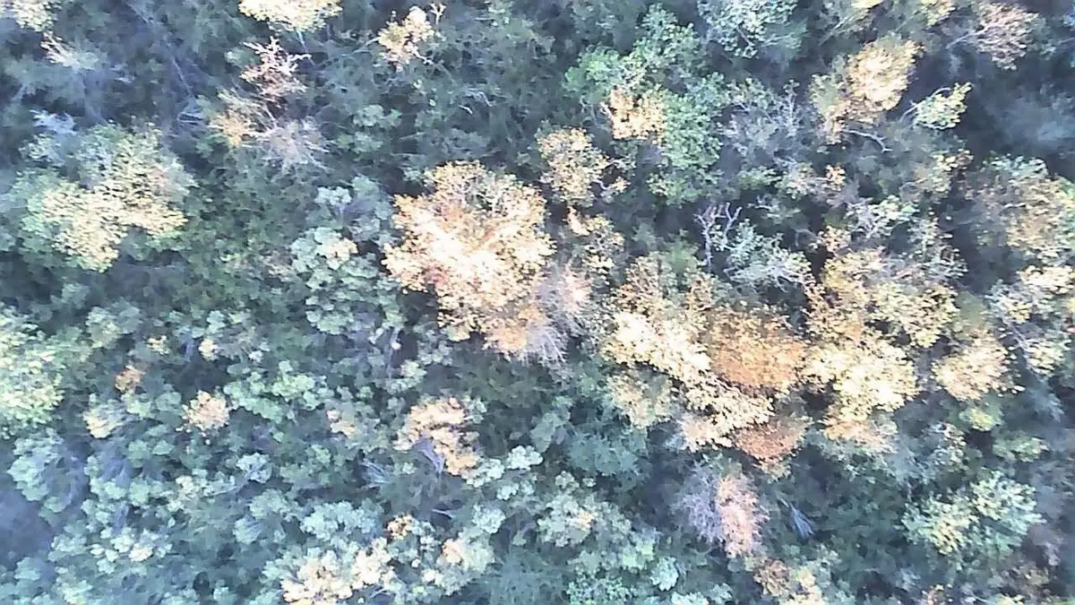 0 Buffalo Speedway, Houston, TX 77045 - #1