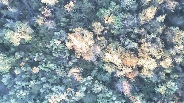 0 Buffalo Speedway, Houston, TX 77045