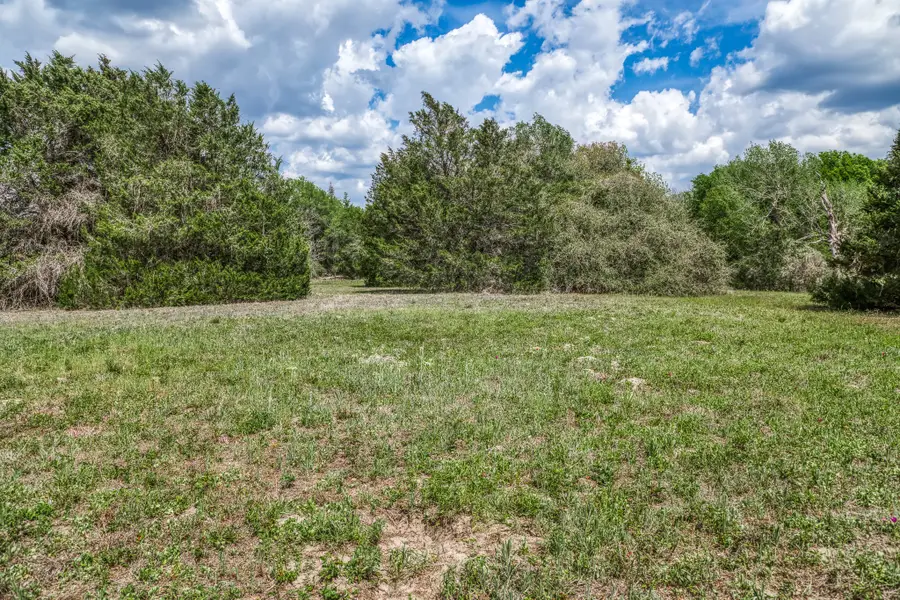 Parcel 1 - Fm 1697, Carmine, TX 78932 - #3