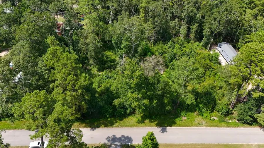 21289 Walker Drive, Conroe, TX 77306 - Image #3