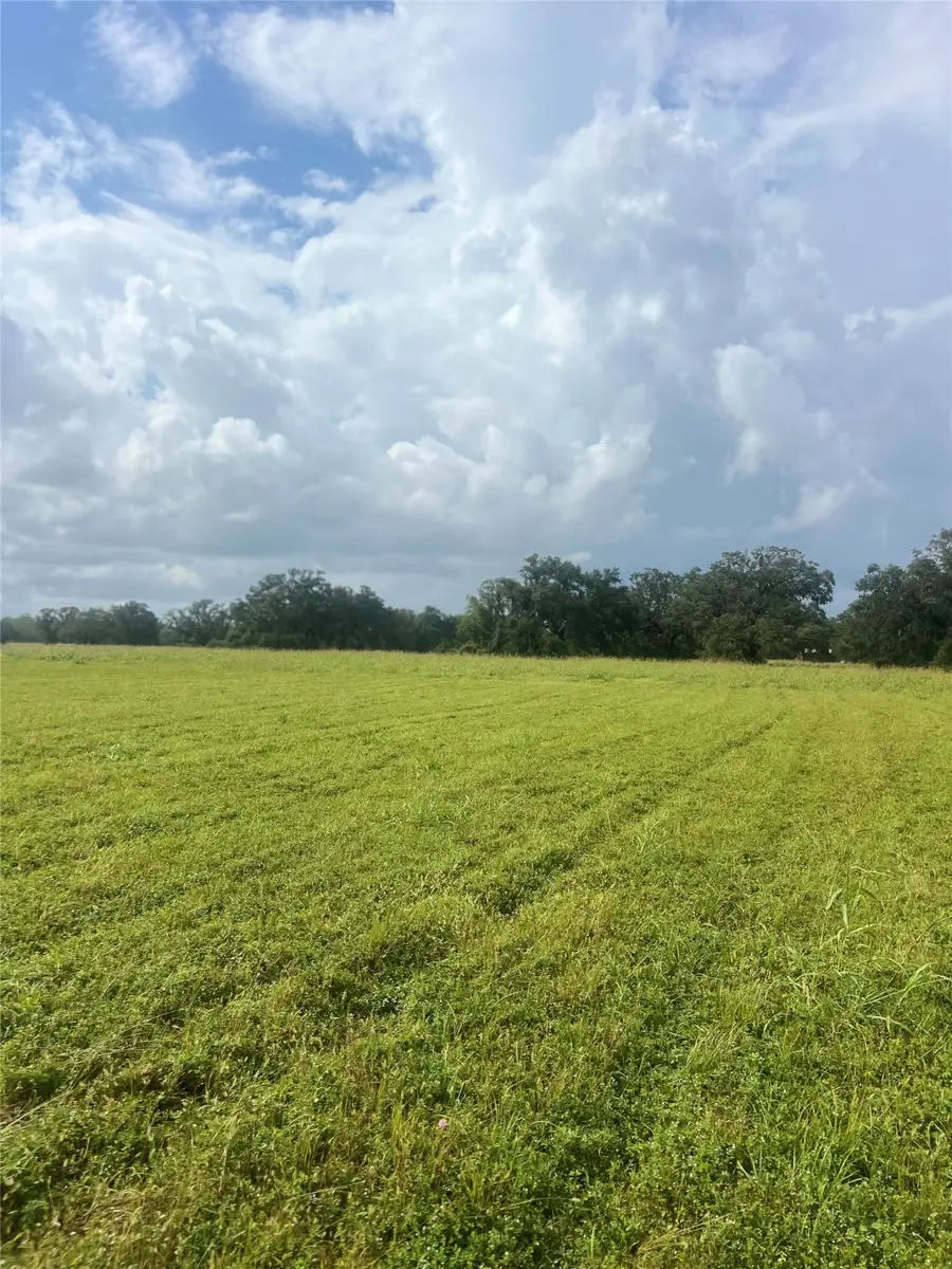 1238 Frontier Trail, Angleton, TX 77515 - #2