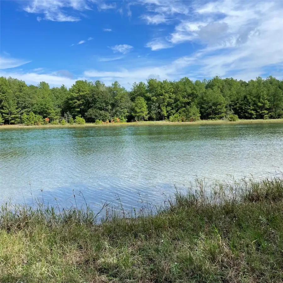 29340 Clydesdale Drive, Waller, TX 77484 - Image #2