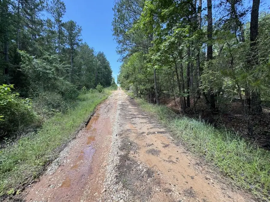 233 Flynn Lane, Trinity, TX 75862 - #3