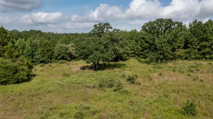 0 Vineyard View Trail, Grapeland, TX 75844 - #3