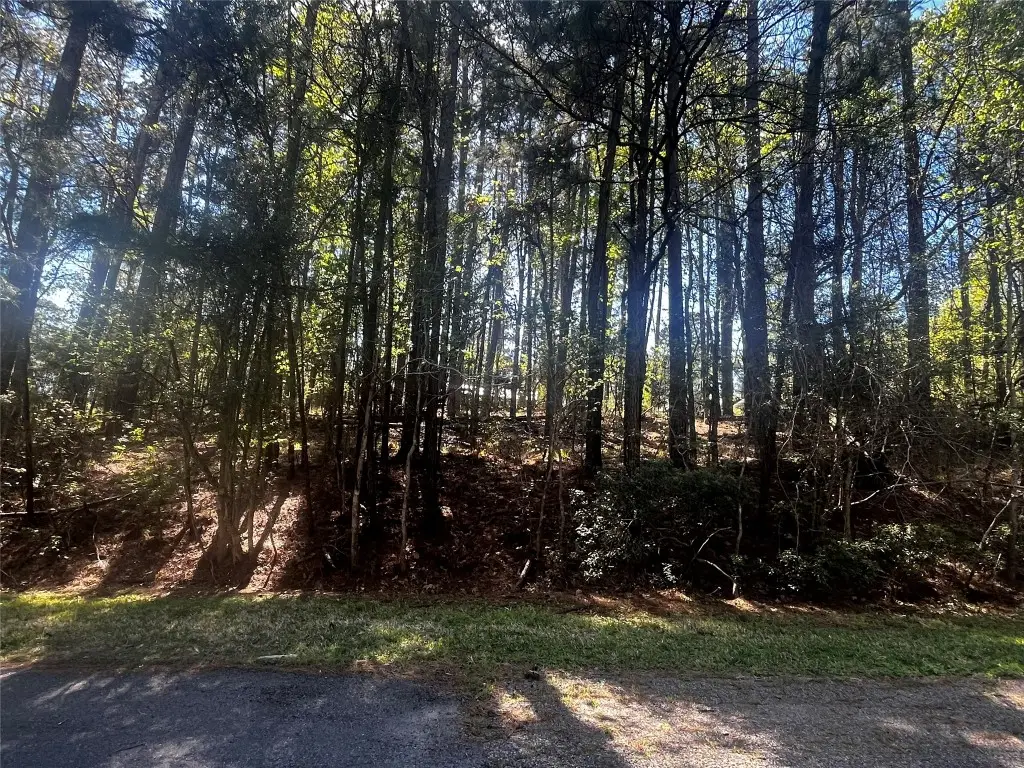 207 Green Tree Drive, Coldspring, TX 77331 - #1