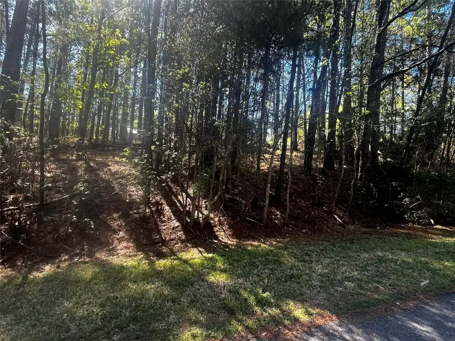 207 Green Tree Drive, Coldspring, TX 77331 - #3