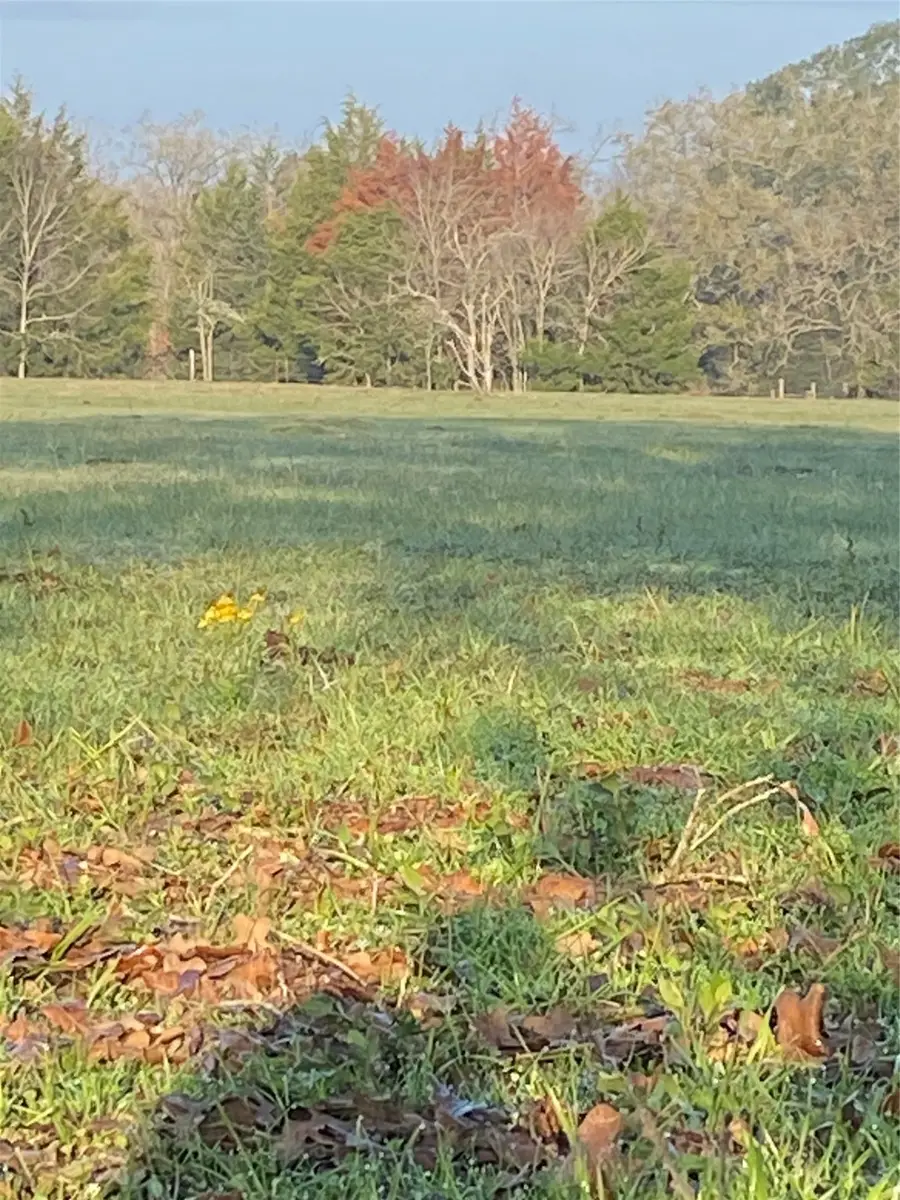 TBD Tx-104-spur, Madisonville, TX 77864 - Image #3