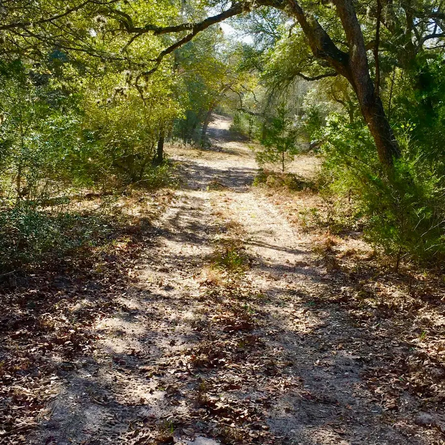 10324 Fm 530, Hallettsville, TX 77964 - Image #3