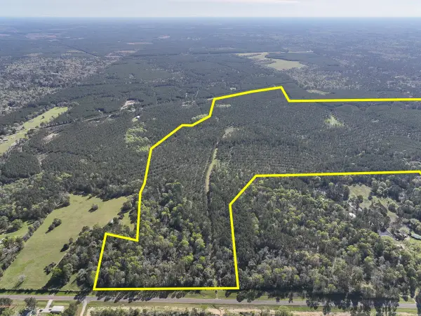 0 Fm 2610, Livingston, TX 77351
