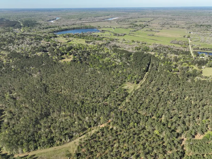 0 Fm 2610, Livingston, TX 77351 - #2