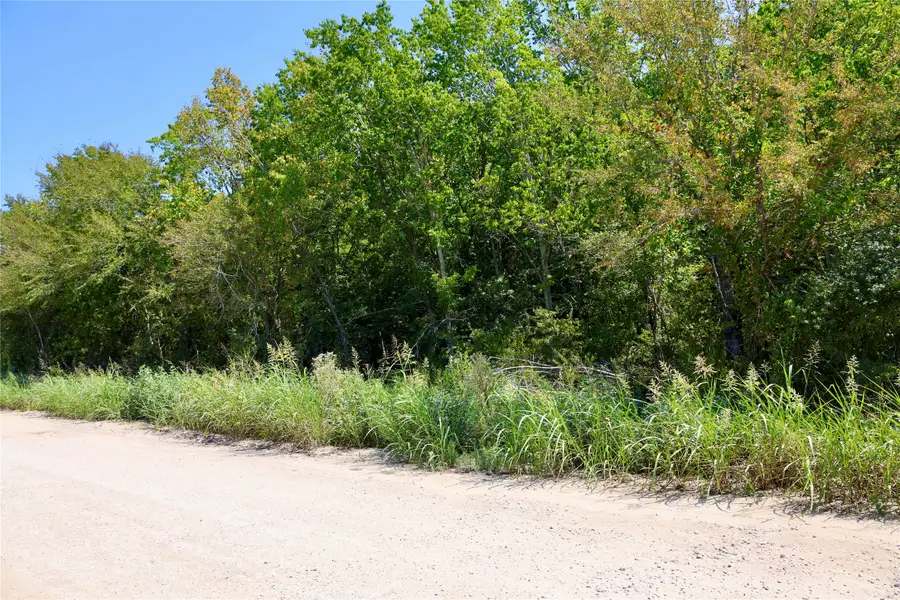 0 Izard Drive, Navasota, TX 77868 - #2