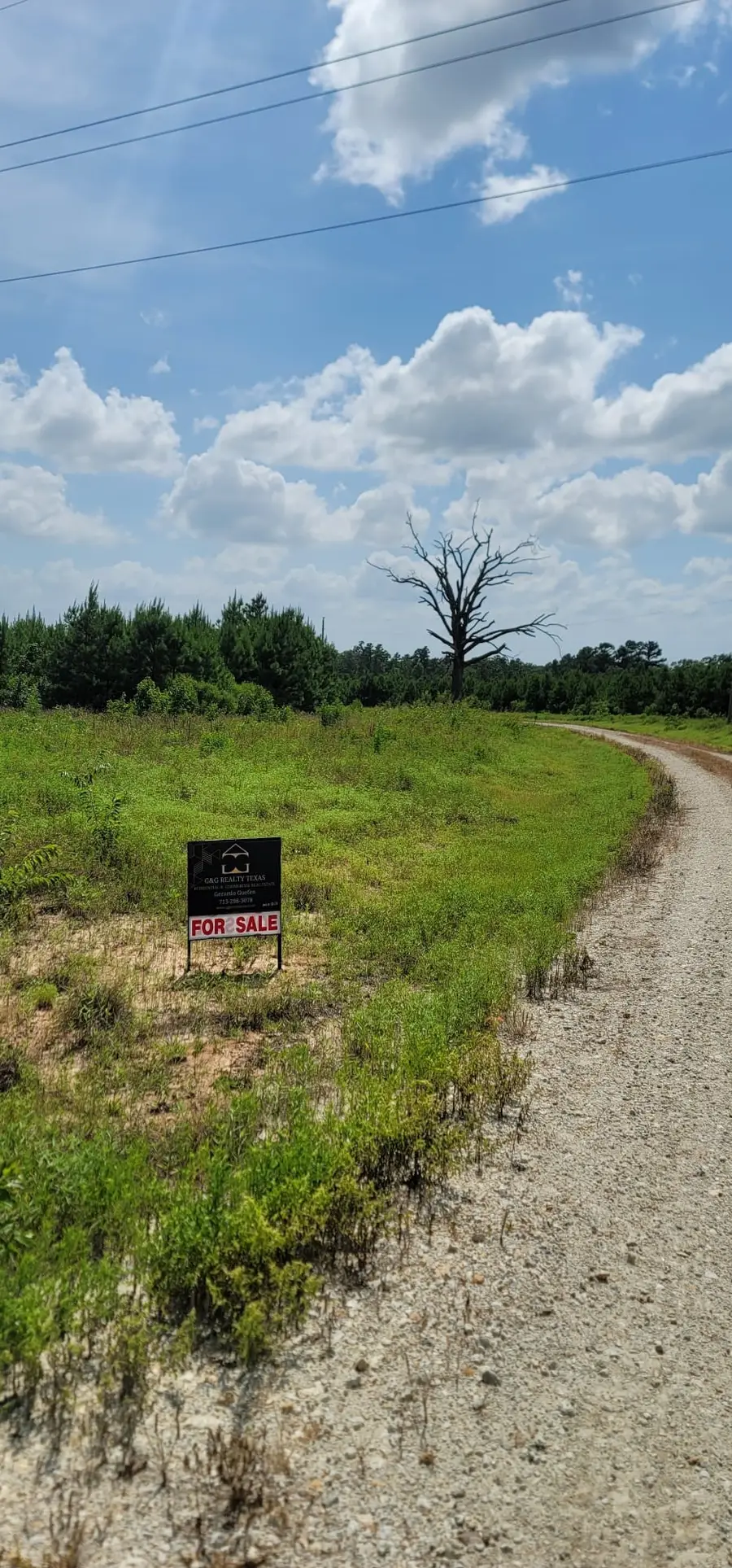 315 Polk, Lovelady, TX 75851 - #3