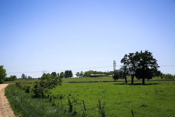 TBD Caney Creek Rd, Chappell Hill, TX 77426
