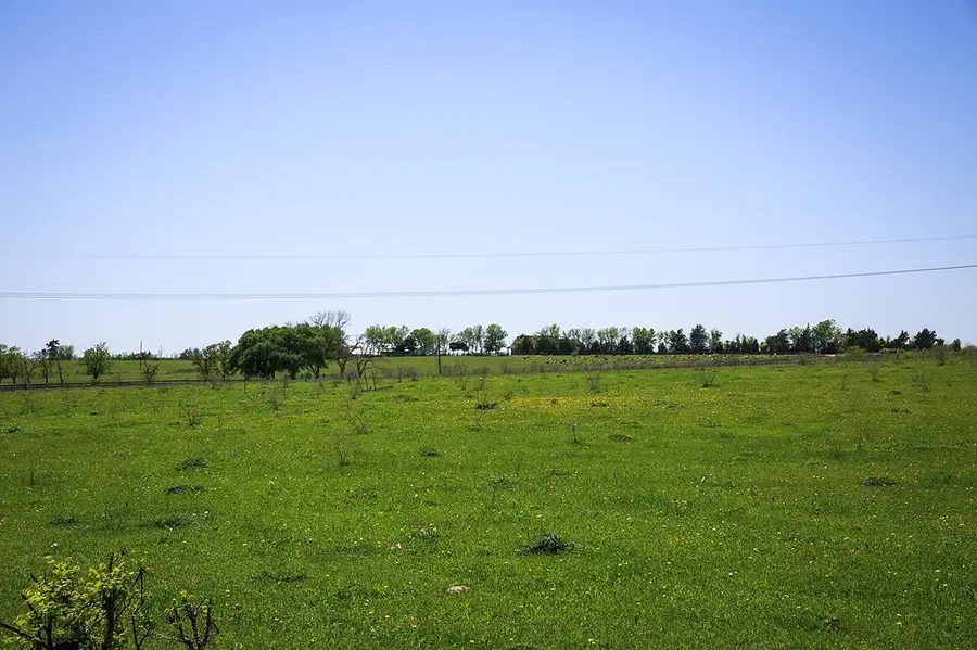 TBD Caney Creek Rd, Chappell Hill, TX 77426 - #3