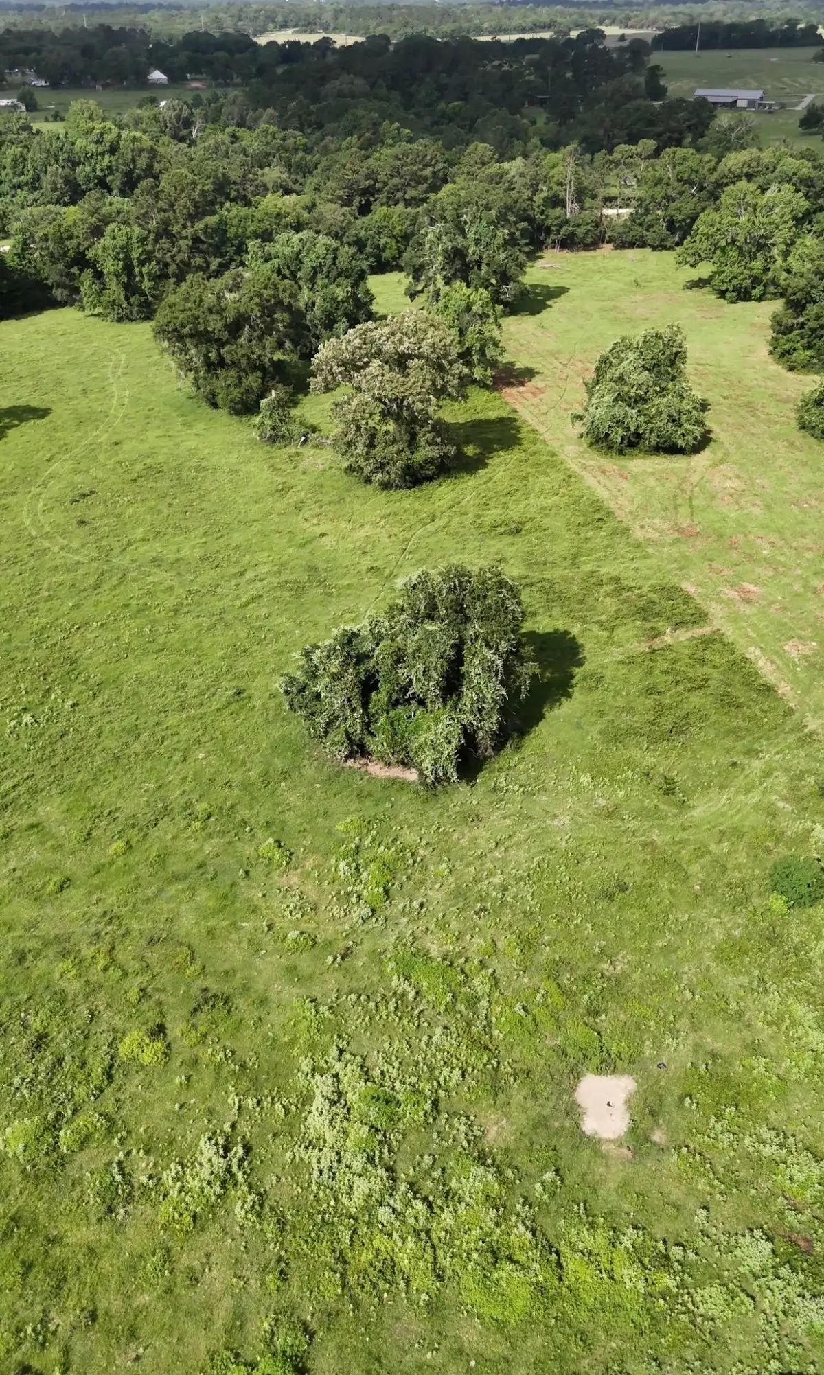 873 Jones Road, New Waverly, TX 77358 - #1