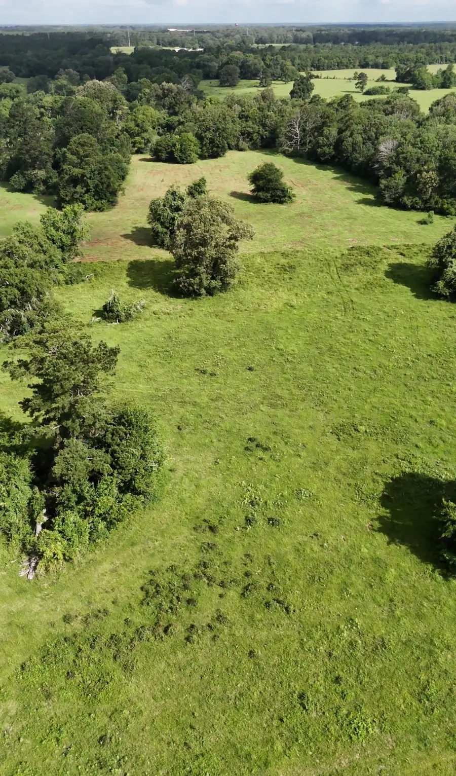 873 Jones Road, New Waverly, TX 77358 - #2