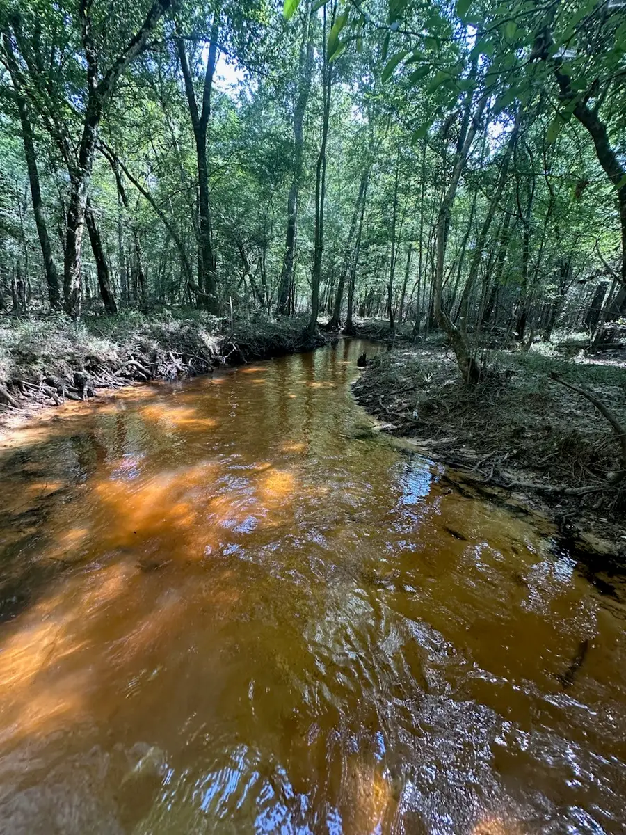 tbd Co Rd 4455, Hillister, TX 77624 - Image #3