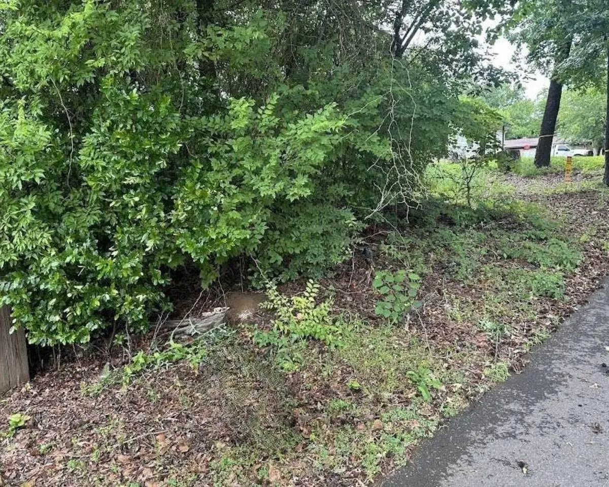 0 Field Street, Marshall, TX 75670 - #1