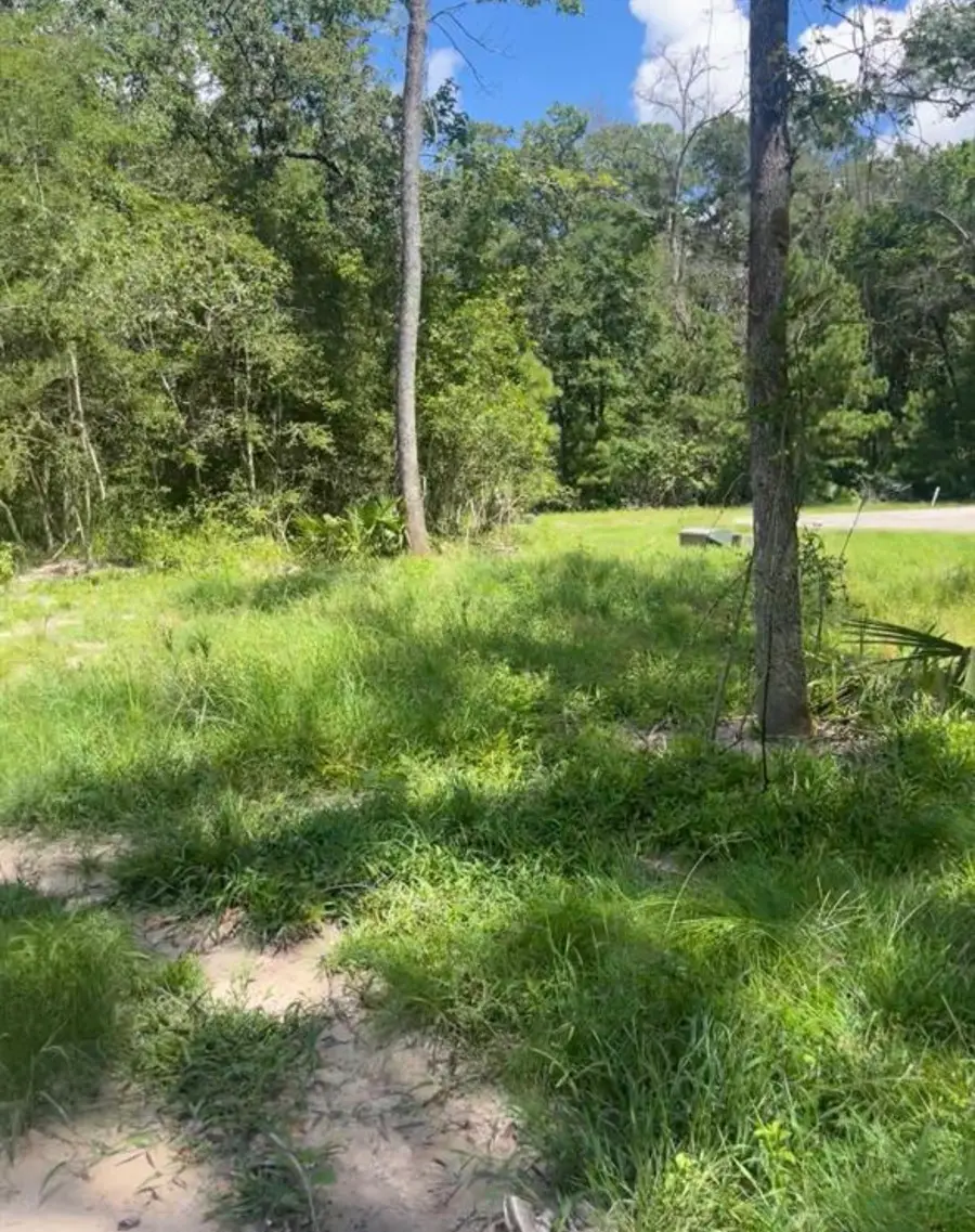 58 Firewood Road, Huntsville, TX 77340 - #3