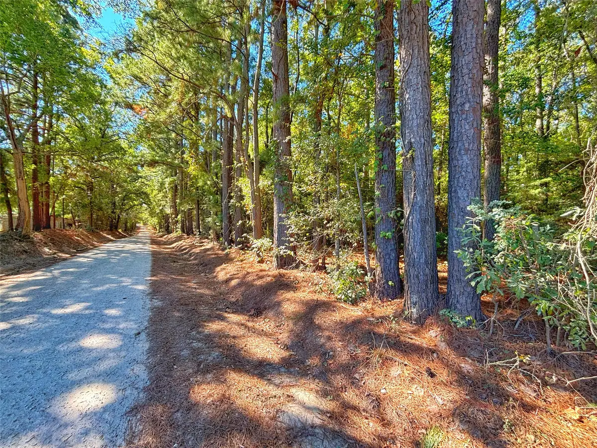 TBD County Road 1620, Grapeland, TX 75844 - #1