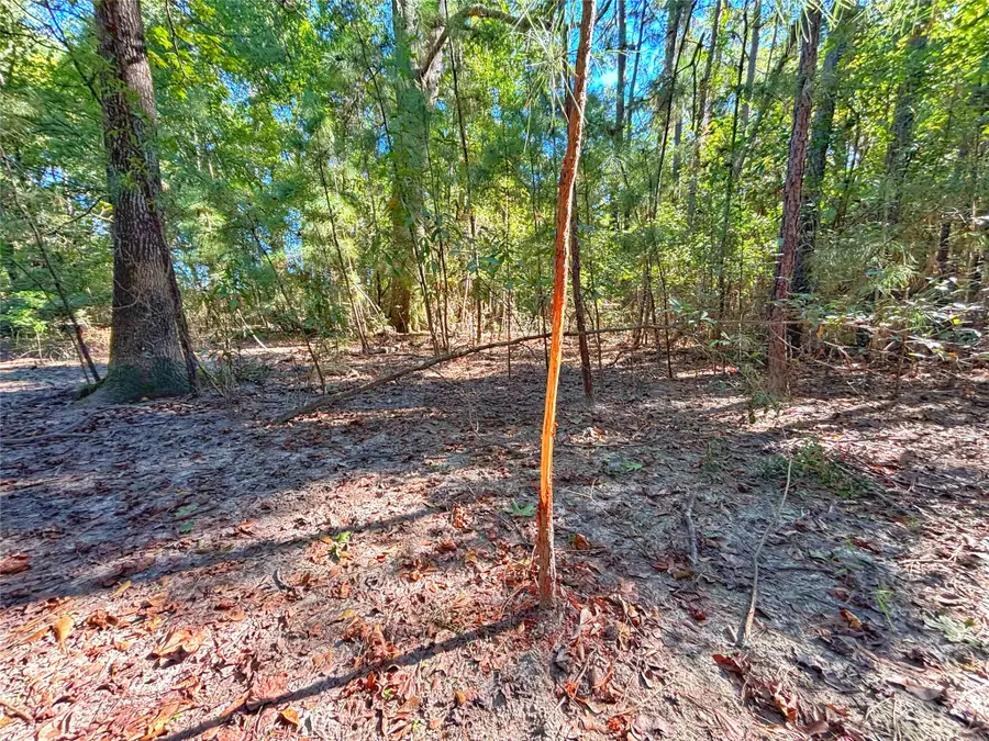 TBD County Road 1620, Grapeland, TX 75844 - #3