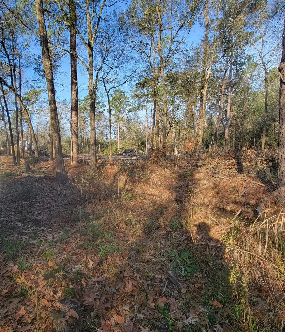 TBD Fenham Lane, Humble, TX 77338 - #1