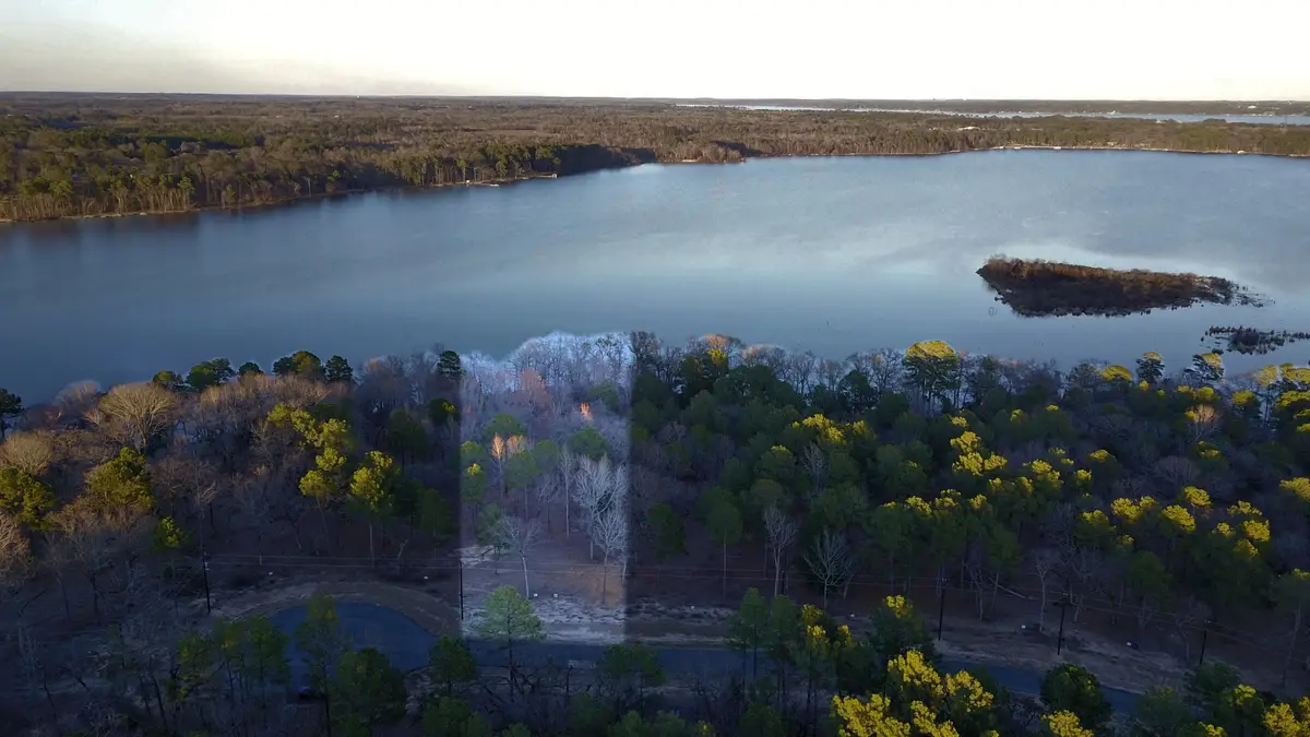 3266 Shadow Pine Drive, Larue, TX 75770 - Image #1