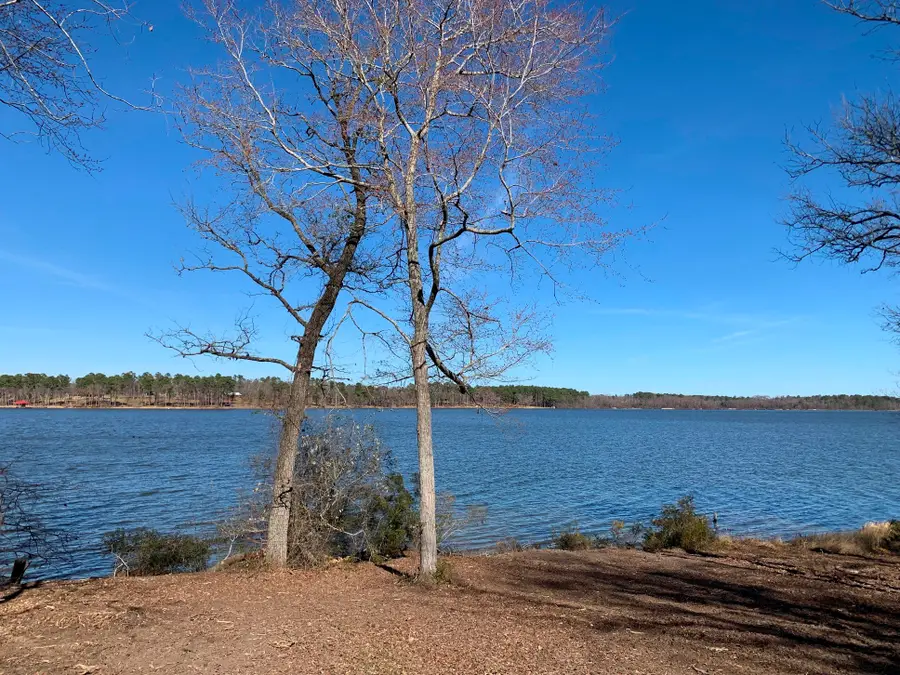 3266 Shadow Pine Drive, Larue, TX 75770 - Image #3